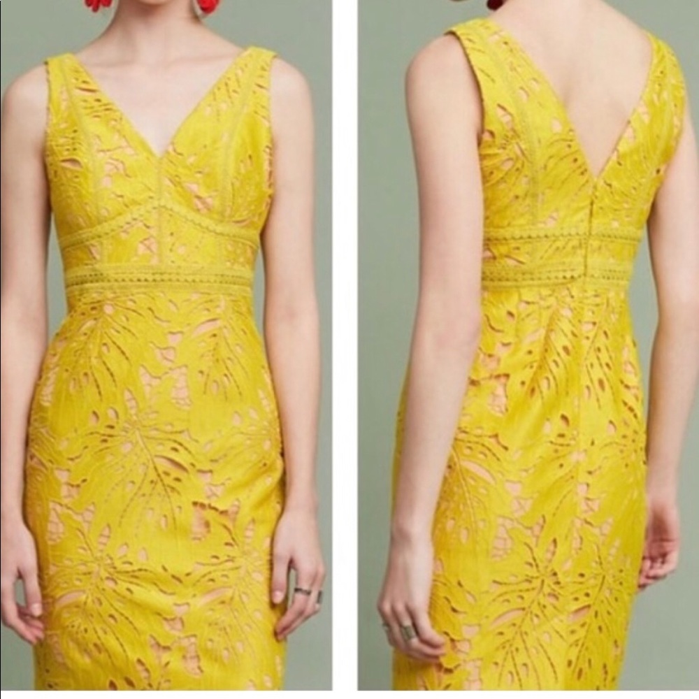 Maeve by Anthropologie Gardenia lace column dress